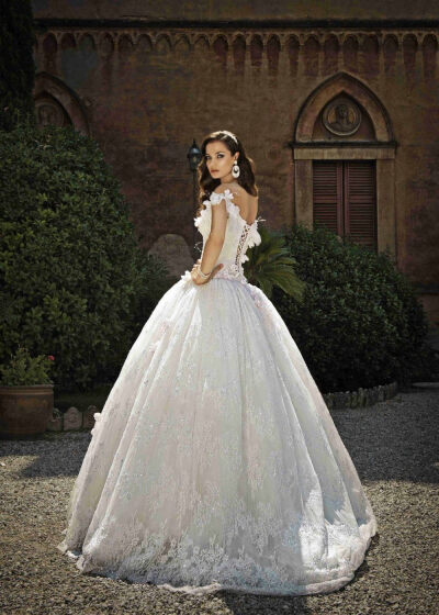 每个女孩的梦想