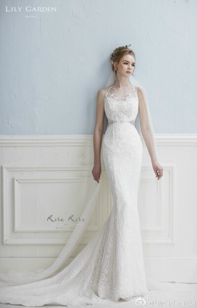 每个女孩的梦想