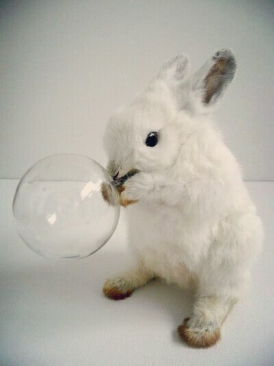 兔星人，好大好大的泡泡~