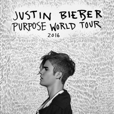 Justin Bieber #purpose#