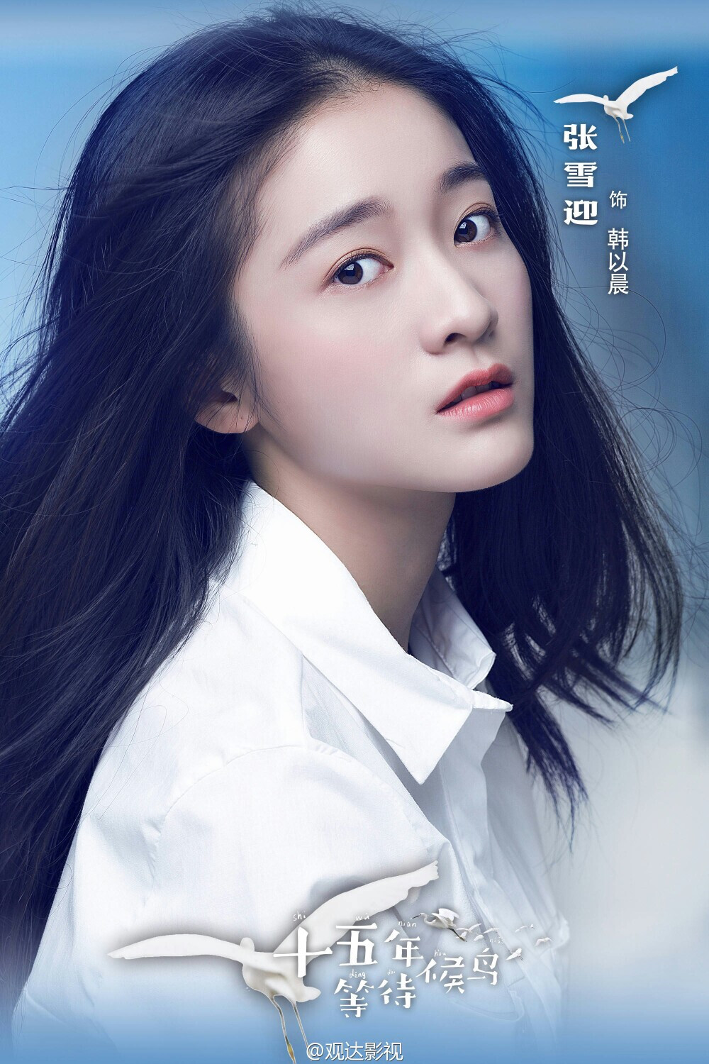 十五年等待候鸟张雪迎饰韩以晨张雪迎sophie