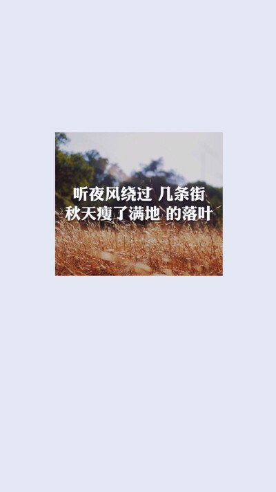 歌词壁纸❤周杰伦《我落泪情绪零碎》