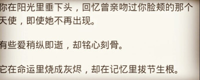 在记忆里拔节生根[文字控]