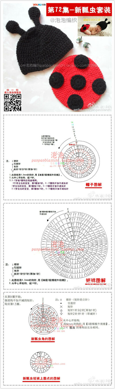 瓢虫套装