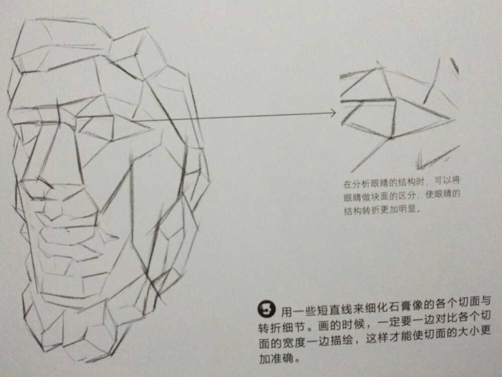 绘画 素描 新手入门 人物的素涂练习 102 石膏像的练习 3