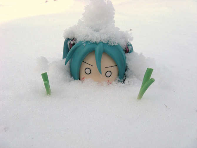 Miku手办/咿....这个被埋在雪里的x