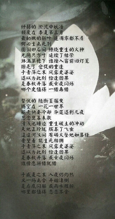 还以为此刻，恰逢因果