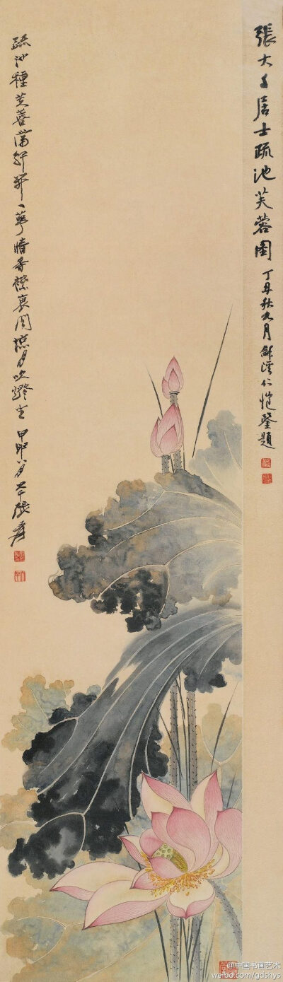 张大千 荷画《芙蓉图》 (810×2813) 张大千三十三岁时开始住进北京颐和园，一住就是五年，颐和园池塘中那又肥又大的荷花使他对画荷的兴趣越加浓厚，他自己常说：“赏荷、画荷，一辈子都不会厌倦！”。他认为，荷花最…