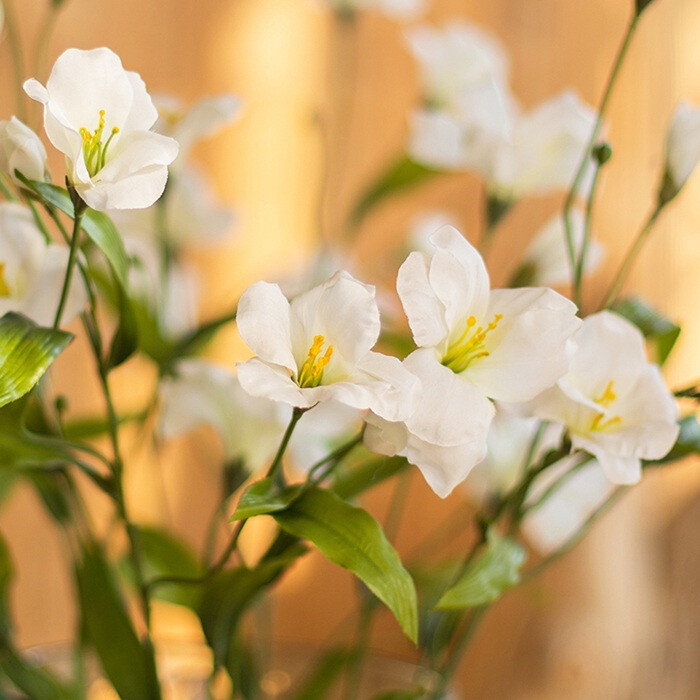 掬涵油桐花 仿真花绿植假花装饰花软装绢花客厅卧室餐厅桌面