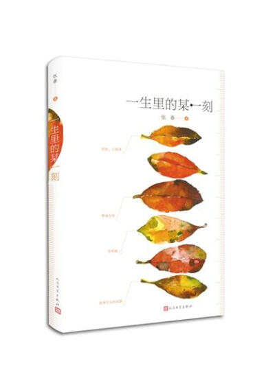 《一生里的某一刻》是张春在豆瓣、知乎、天涯上的随笔文章精选集，约一半篇幅为重新创作。全数收入《各种普通的食物最好吃的时刻》等在互联网内外广为传诵的文章。