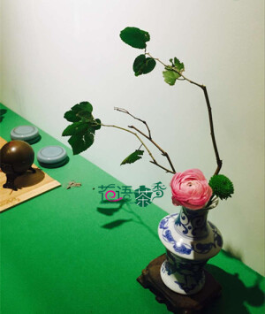 茶室插花   花艺