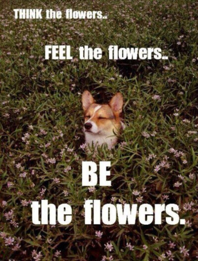 be the flower