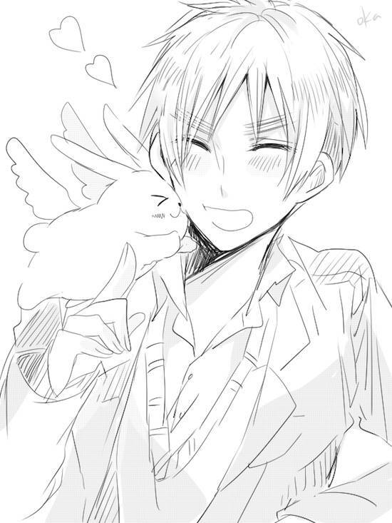 黑塔利亚 眉毛子