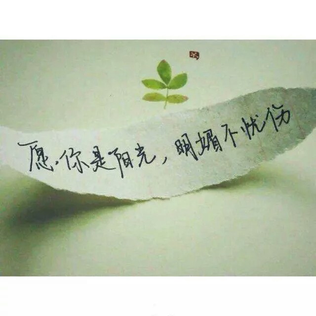 从前，有一个小丑，他无忧无虑自在快乐的生活。 直到有一天，他爱上了一个女孩，女孩善良美丽，还有些肥嘟嘟的很可爱。 小丑很自卑，不敢向女孩表白，只是整天偷偷的跟踪她，看着她，?；に?终于被女孩发现了，女孩以为他是变态，于是抱了警，小丑被抓了起来。 小丑非常伤心，无心演出，被赶出了马戏团。 没有收入，没钱交房租，最后沦落到了大街上。 一天居然碰到了那个女孩，那个自己深深爱着的她。 可女孩好像不认识他，就像从来没有见过他一样， 是啊，她从来就没见过他。[em]e7154[/em]