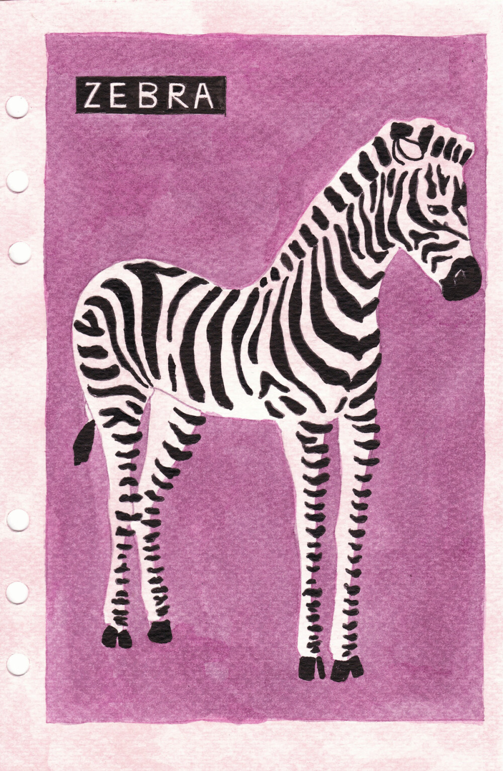 参考网络照片斑马水彩新浪微博未来魔法师