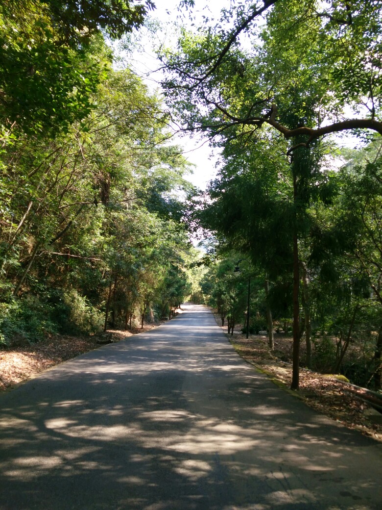 温泉山庄