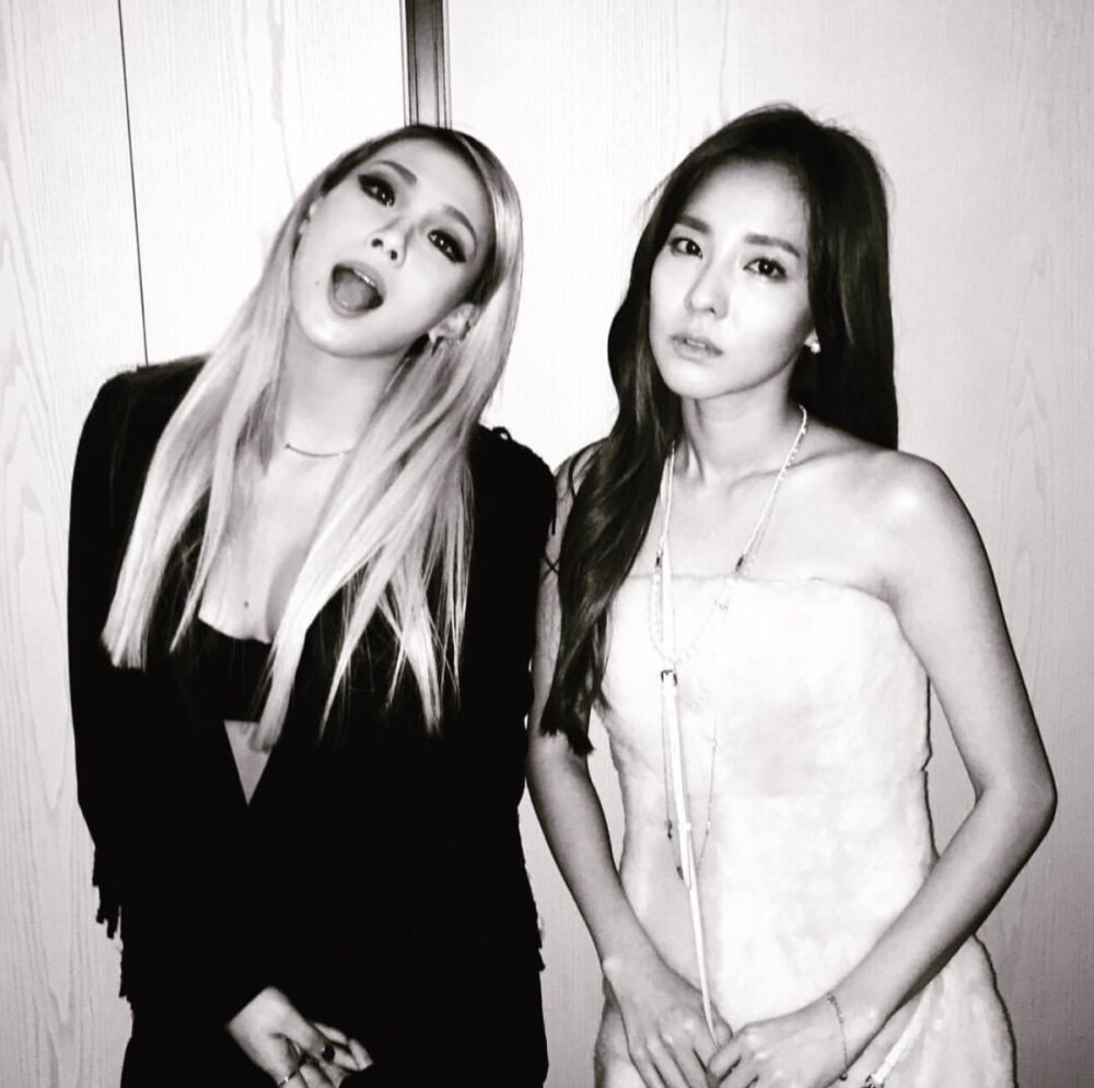 2ne1 Cl Dara 李彩琳朴山达拉