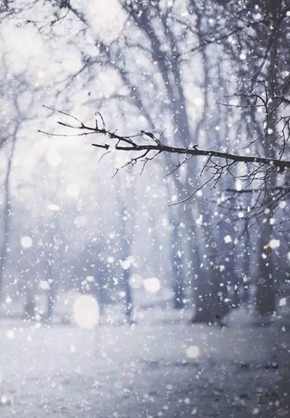 山岭苍翠，松柏挺拔，小雪时节思绪万种；饮一壶酒，暖意奔走，清凉之气顿消心头。