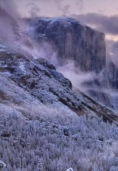 山岭苍翠，松柏挺拔，小雪时节思绪万种；饮一壶酒，暖意奔走，清凉之气顿消心头。