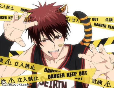 kagami(ฅ&amp;gt;ω&amp;lt;*ฅ)