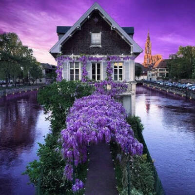 法国—斯特拉斯堡