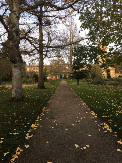 第七天 牛津大学一日游。The Botanic Garden