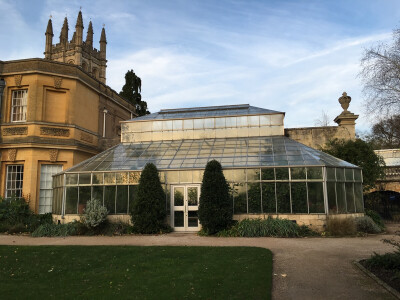 第七天 牛津大学一日游。The Botanic Garden