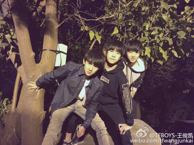 TFBOYS cr.logo.