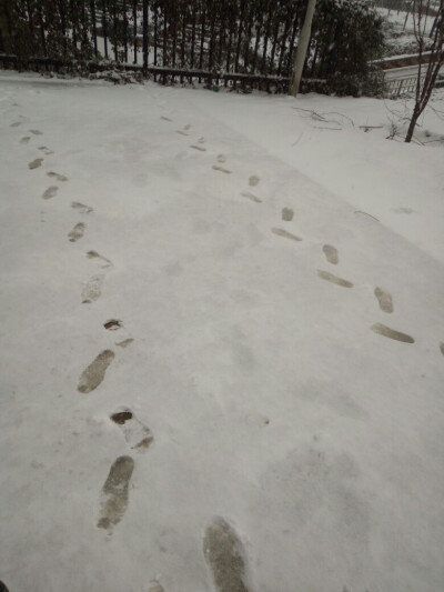 北京最大的雪！