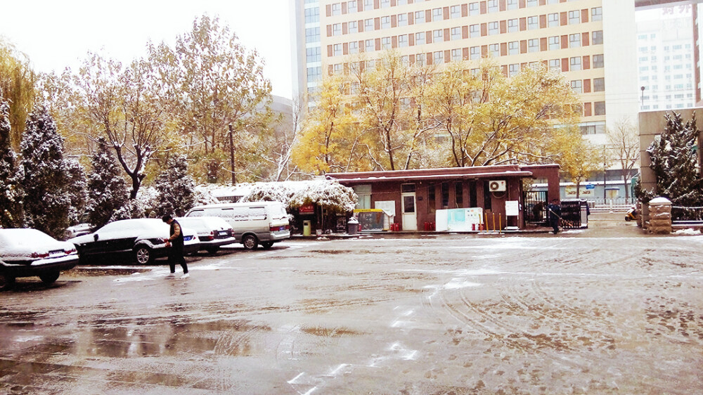 2015，认真的雪