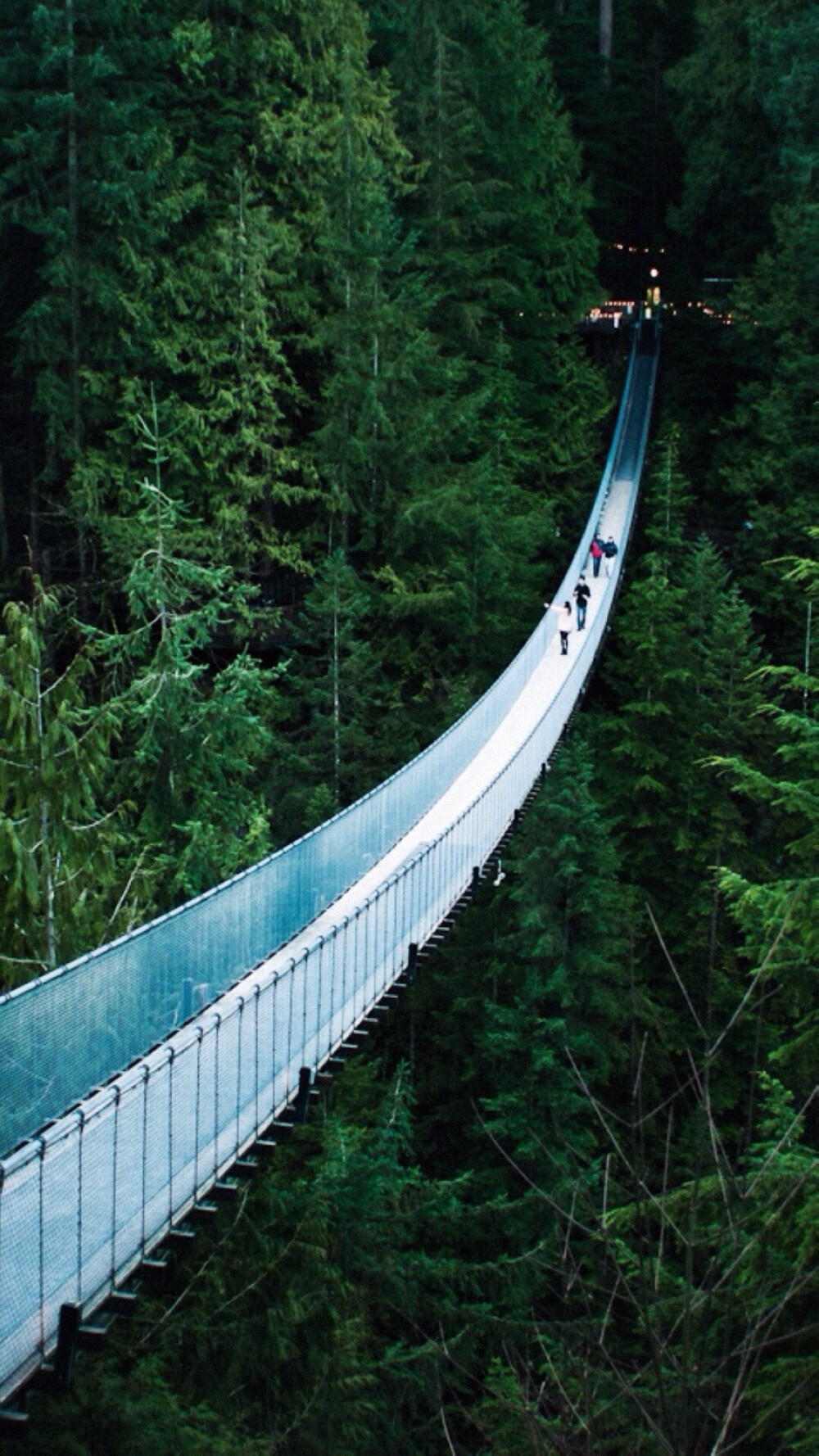 小清新 自然 手机壁纸 风景壁纸 吊桥