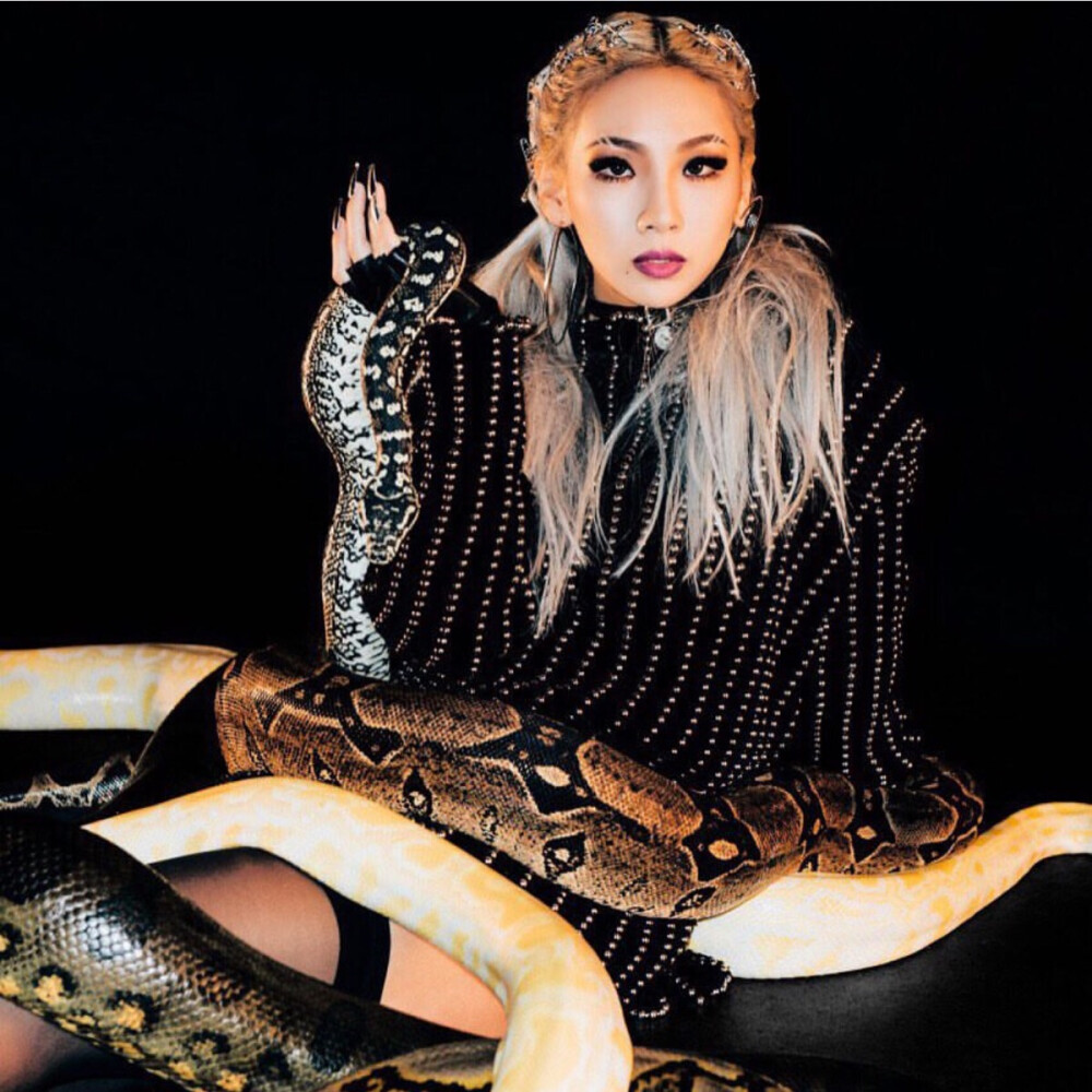 2ne1 Cl 李彩琳