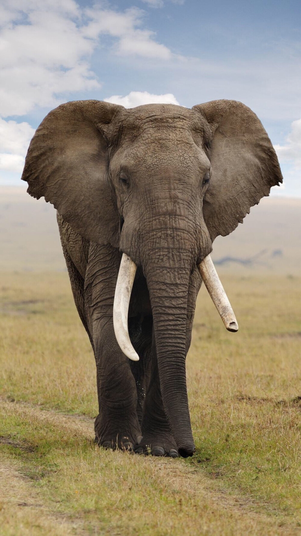 了- 堆糖,美图壁纸兴趣社区