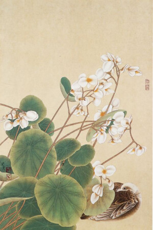 国画，工笔