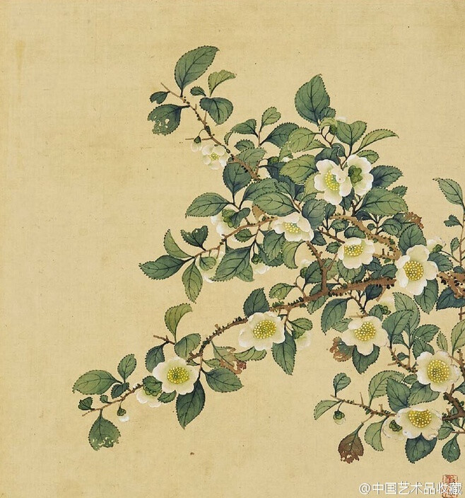 【 清 李秉德 《满庭芳华》 】册页（共十二开），绢本设色，32×30cm×12。 清人李秉德善画春景花色，皇帝南巡时献出图册，倍得圣心而被招揽入宫。本册花卉，浓淡皆有，清雅富丽俱全，勾勒工严，润染细腻，且群芳皆有其美态，各花自有自境界，正是“一花一世界”。