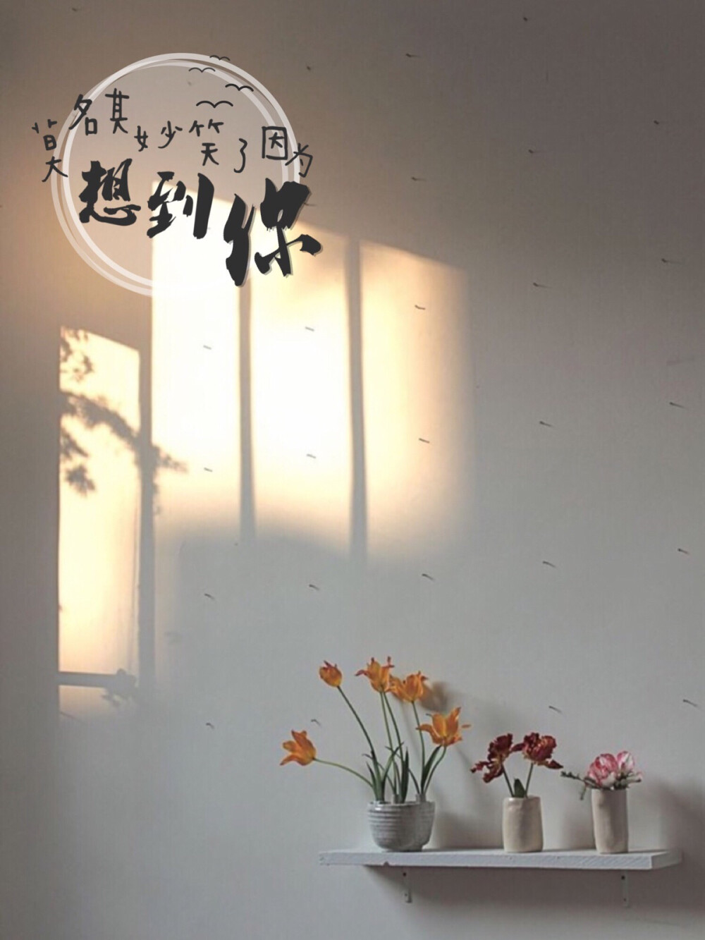 那些美或不美的话。。。