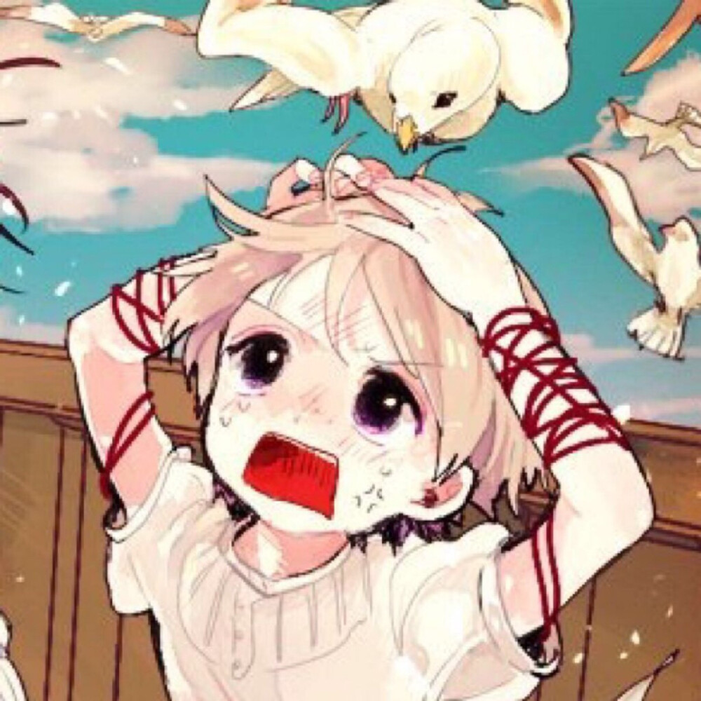 哈哈哈子贾❤️