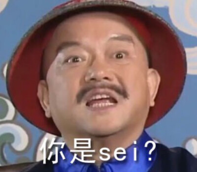 铁齿铜牙纪晓岚 表情