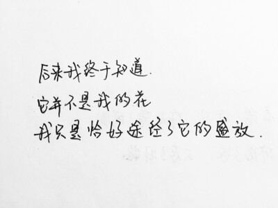 手写。美文美段。