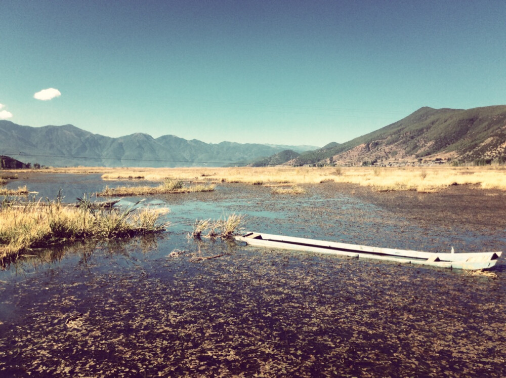 丽江泸沽湖草海