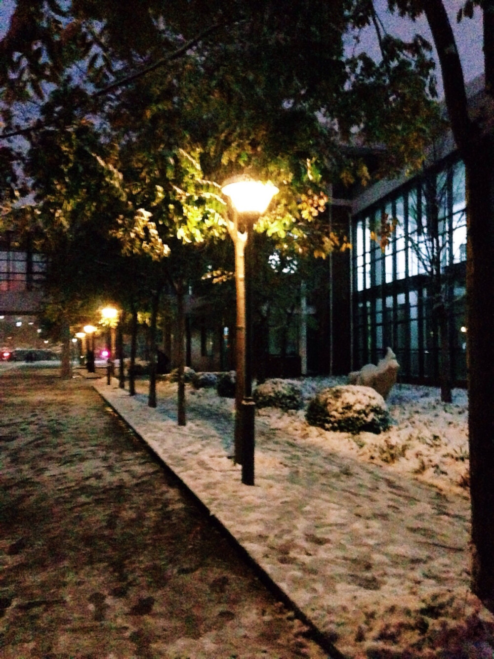 学校里的雪景