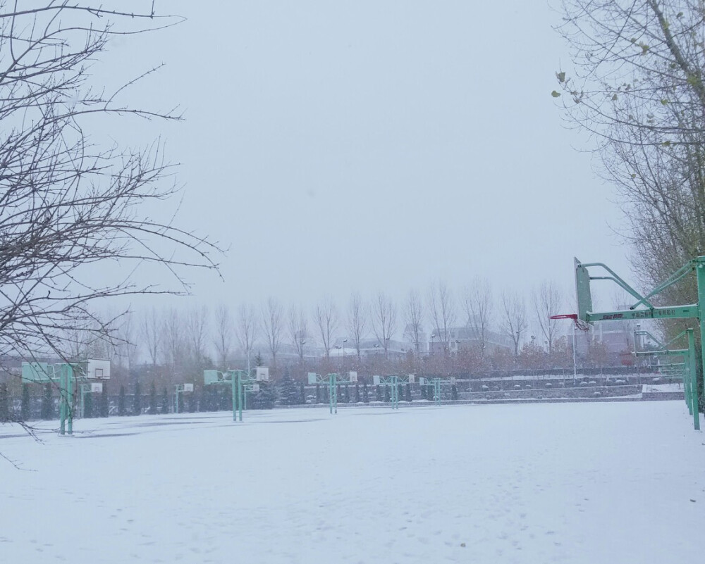 济南 初雪