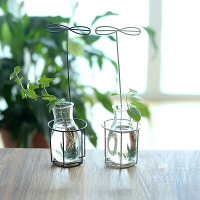 zakka杂货 铁艺铁锈色小叶子玻璃水培容器 小花瓶 创意花器