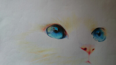 彩铅第二张。以为会简单，其实挺难搞。白色的毛发……我是怎么想的，要画白猫？