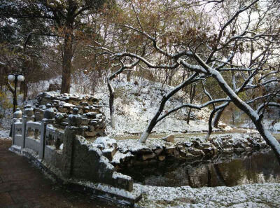 北京大学 燕园雪景