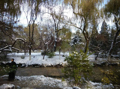 北京大学 雪后的燕园