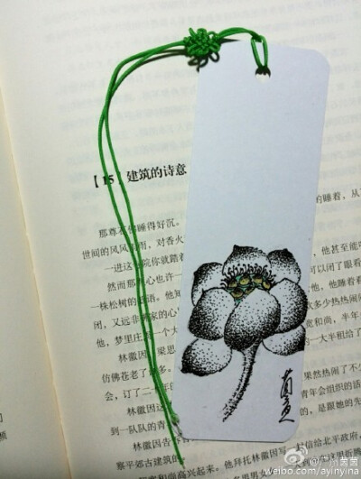 《植物类》