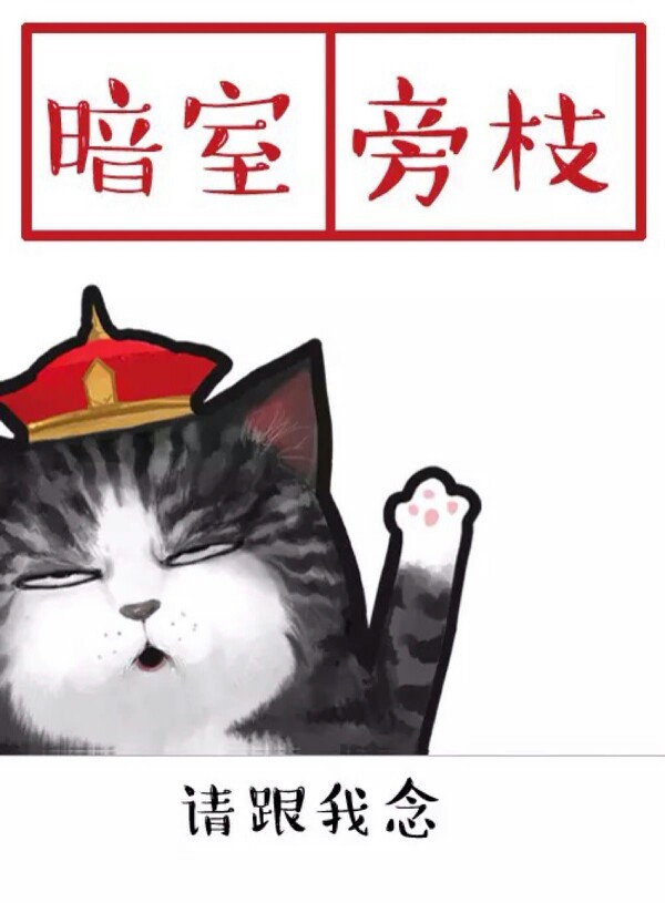 白茶插画猫咪萌宠