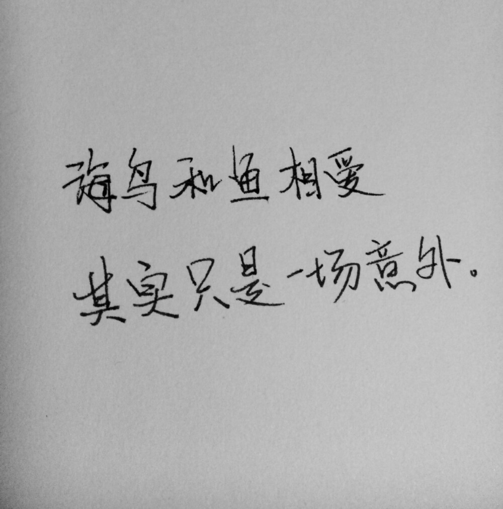 《珊瑚海》