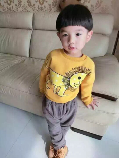 1539394韩版纯棉小狮子抓绒加厚套头卫衣，尺码：80～11055